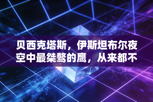 贝西克塔斯,伊斯坦布尔夜空中最桀骜的鹰,从来都不只是足球的故事 贝西克塔斯,伊斯坦布尔夜空中最桀骜的鹰,从来都不只是足球的故事