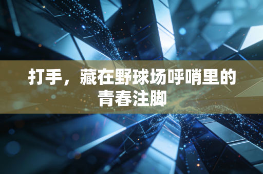 打手,藏在野球场呼哨里的青春注脚 打手,藏在野球场呼哨里的青春注脚