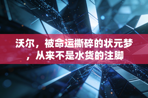 沃尔,被命运撕碎的状元梦,从来不是水货的注脚 沃尔,被命运撕碎的状元梦,从来不是水货的注脚