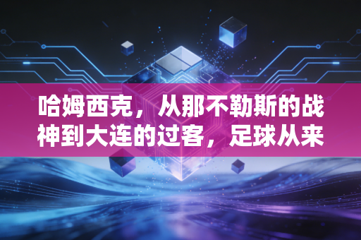 哈姆西克，从那不勒斯的战神到大连的过客，足球从来不是只有胜负的单行线