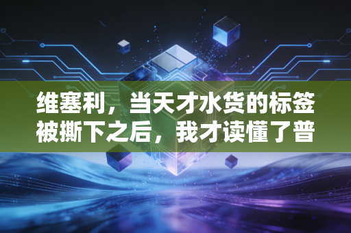 维塞利，当天才水货的标签被撕下之后，我才读懂了普通人的成功学