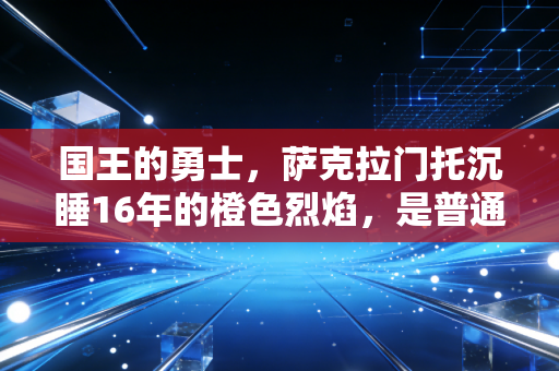 国王的勇士,萨克拉门托沉睡16年的橙色烈焰,是普通人熬过长夜的答案 国王的勇士,萨克拉门托沉睡16年的橙色烈焰,是普通人熬过长夜的答案