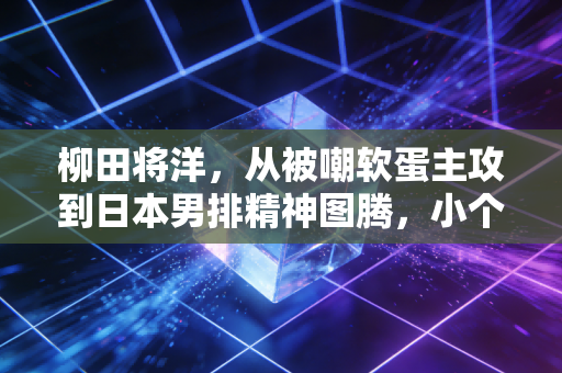 柳田将洋,从被嘲软蛋主攻到日本男排精神图腾,小个子的排球世界从来没有天花板 柳田将洋,从被嘲软蛋主攻到日本男排精神图腾,小个子的排球世界从来没有天花板