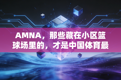AMNA,那些藏在小区篮球场里的,才是中国体育最鲜活的底色 AMNA,那些藏在小区篮球场里的,才是中国体育最鲜活的底色