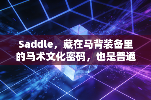 Saddle,藏在马背装备里的马术文化密码,也是普通人入坑马术的第一堂课 Saddle,藏在马背装备里的马术文化密码,也是普通人入坑马术的第一堂课