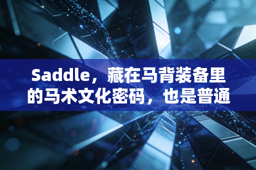 Saddle，藏在马背装备里的马术文化密码，也是普通人入坑马术的第一堂课