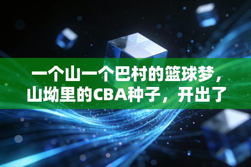 一个山一个巴村的篮球梦,山坳里的CBA种子,开出了野球场的花 一个山一个巴村的篮球梦,山坳里的CBA种子,开出了野球场的花