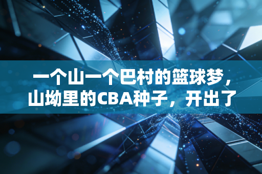 一个山一个巴村的篮球梦,山坳里的CBA种子,开出了野球场的花 一个山一个巴村的篮球梦,山坳里的CBA种子,开出了野球场的花