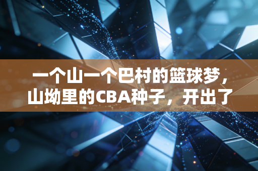 一个山一个巴村的篮球梦,山坳里的CBA种子,开出了野球场的花 一个山一个巴村的篮球梦,山坳里的CBA种子,开出了野球场的花