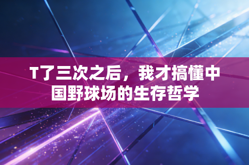 T了三次之后，我才搞懂中国野球场的生存哲学