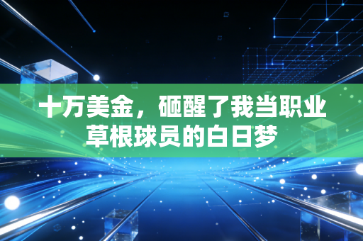 十万美金,砸醒了我当职业草根球员的白日梦 十万美金,砸醒了我当职业草根球员的白日梦
