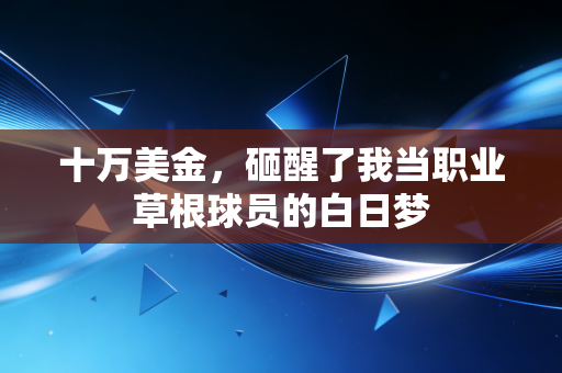 十万美金，砸醒了我当职业草根球员的白日梦