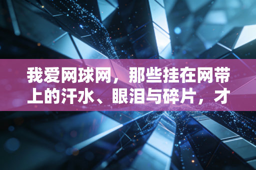我爱网球网，那些挂在网带上的汗水、眼泪与碎片，才是普通人打网球的终极意义