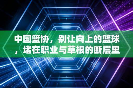 中国篮协,别让向上的篮球,堵在职业与草根的断层里 中国篮协,别让向上的篮球,堵在职业与草根的断层里