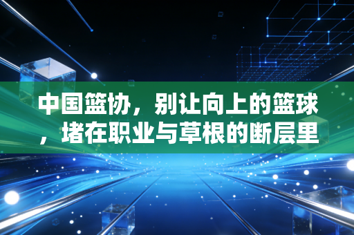 中国篮协,别让向上的篮球,堵在职业与草根的断层里 中国篮协,别让向上的篮球,堵在职业与草根的断层里
