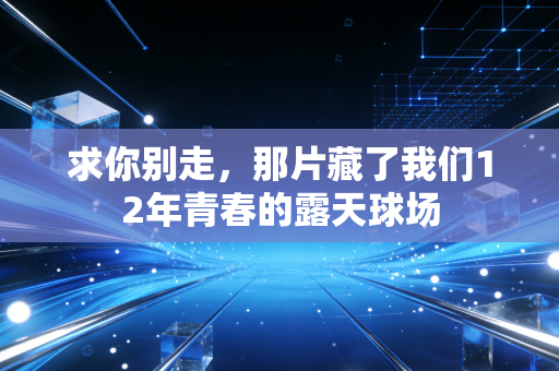 求你别走,那片藏了我们12年青春的露天球场 求你别走,那片藏了我们12年青春的露天球场