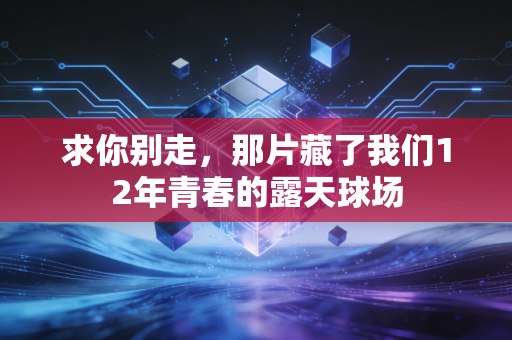 求你别走,那片藏了我们12年青春的露天球场 求你别走,那片藏了我们12年青春的露天球场