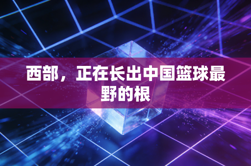 西部,正在长出中国篮球最野的根 西部,正在长出中国篮球最野的根