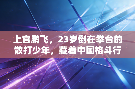 上官鹏飞,23岁倒在拳台的散打少年,藏着中国格斗行业最痛的一课 上官鹏飞,23岁倒在拳台的散打少年,藏着中国格斗行业最痛的一课