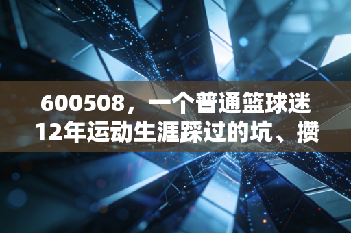600508，一个普通篮球迷12年运动生涯踩过的坑、攒下的光
