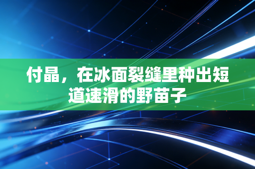 付晶，在冰面裂缝里种出短道速滑的野苗子