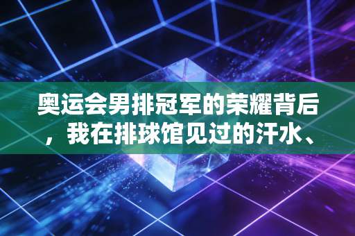 奥运会男排冠军的荣耀背后,我在排球馆见过的汗水、遗憾与普通人的热爱 奥运会男排冠军的荣耀背后,我在排球馆见过的汗水、遗憾与普通人的热爱