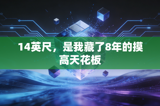 14英尺,是我藏了8年的摸高天花板 14英尺,是我藏了8年的摸高天花板