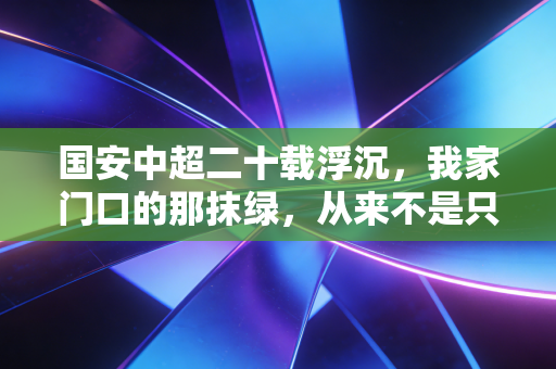 国安中超二十载浮沉,我家门口的那抹绿,从来不是只关乎输赢 国安中超二十载浮沉,我家门口的那抹绿,从来不是只关乎输赢