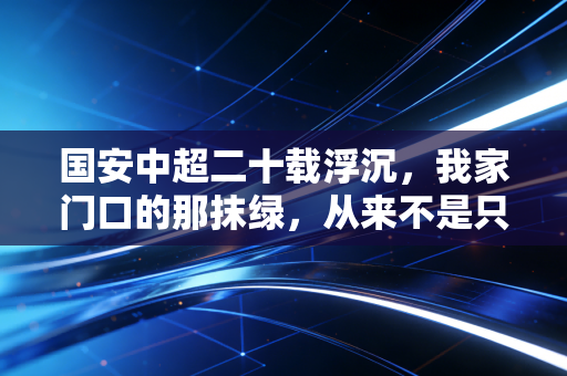 国安中超二十载浮沉,我家门口的那抹绿,从来不是只关乎输赢 国安中超二十载浮沉,我家门口的那抹绿,从来不是只关乎输赢