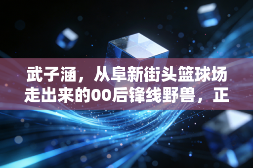 武子涵，从阜新街头篮球场走出来的00后锋线野兽，正在CBA闯出自己的天