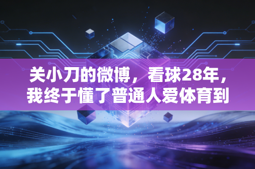 关小刀的微博，看球28年，我终于懂了普通人爱体育到底图啥