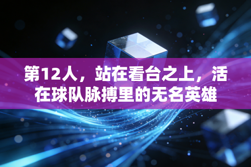 第12人，站在看台之上，活在球队脉搏里的无名英雄