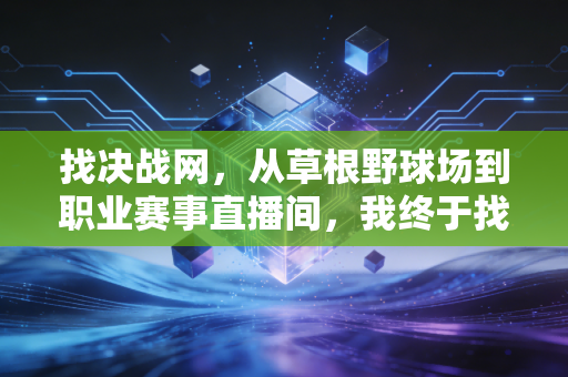 找决战网,从草根野球场到职业赛事直播间,我终于找到了体育迷的精神自留地 找决战网,从草根野球场到职业赛事直播间,我终于找到了体育迷的精神自留地