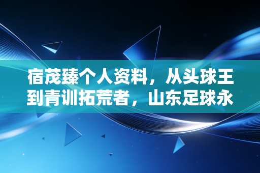 宿茂臻个人资料，从头球王到青训拓荒者，山东足球永远的金头老茂