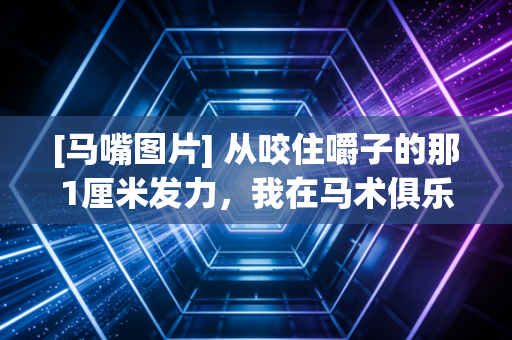 [马嘴图片] 从咬住嚼子的那1厘米发力，我在马术俱乐部看见的非典型体育精神