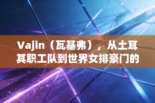 Vajin(瓦基弗),从土耳其职工队到世界女排豪门的普通人奋斗启示录 Vajin(瓦基弗),从土耳其职工队到世界女排豪门的普通人奋斗启示录