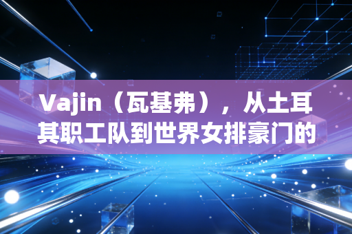 Vajin(瓦基弗),从土耳其职工队到世界女排豪门的普通人奋斗启示录 Vajin(瓦基弗),从土耳其职工队到世界女排豪门的普通人奋斗启示录