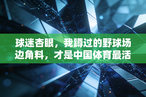 球迷杏眼,我蹲过的野球场边角料,才是中国体育最活的注脚 球迷杏眼,我蹲过的野球场边角料,才是中国体育最活的注脚