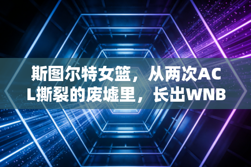 斯图尔特女篮,从两次ACL撕裂的废墟里,长出WNBA的不败女王 斯图尔特女篮,从两次ACL撕裂的废墟里,长出WNBA的不败女王