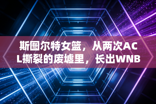 斯图尔特女篮，从两次ACL撕裂的废墟里，长出WNBA的不败女王