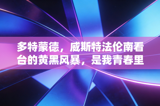 多特蒙德，威斯特法伦南看台的黄黑风暴，是我青春里最滚烫的信仰