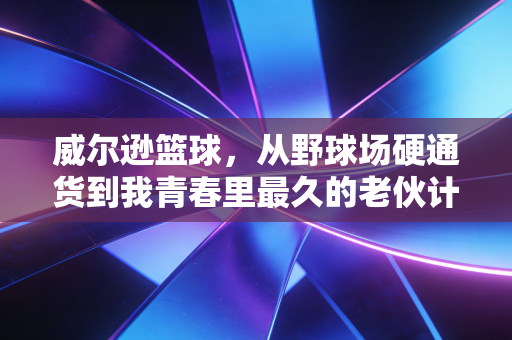 威尔逊篮球，从野球场硬通货到我青春里最久的老伙计