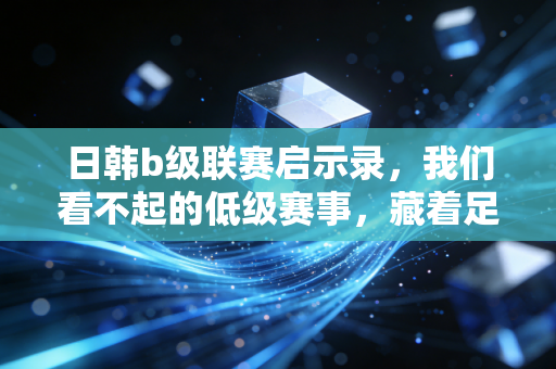 日韩b级联赛启示录,我们看不起的低级赛事,藏着足球最该有的样子 日韩b级联赛启示录,我们看不起的低级赛事,藏着足球最该有的样子
