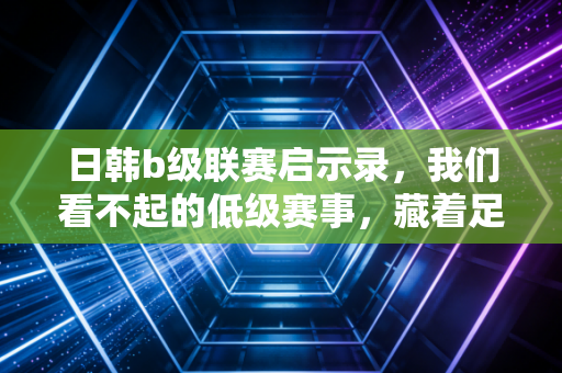 日韩b级联赛启示录，我们看不起的低级赛事，藏着足球最该有的样子