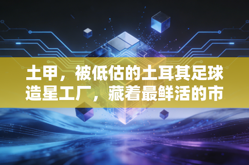 土甲，被低估的土耳其足球造星工厂，藏着最鲜活的市井足球浪漫