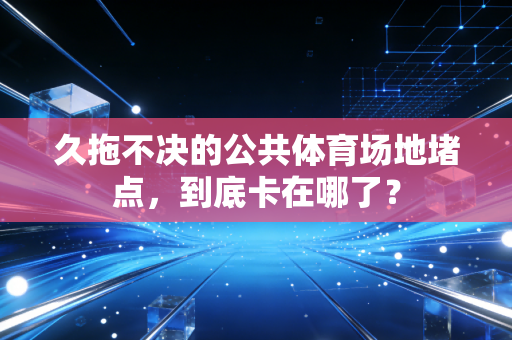 久拖不决的公共体育场地堵点，到底卡在哪了？