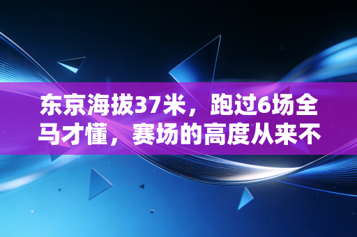 东京海拔37米,跑过6场全马才懂,赛场的高度从来不由刻度决定 东京海拔37米,跑过6场全马才懂,赛场的高度从来不由刻度决定
