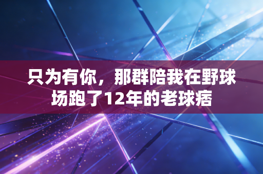 只为有你,那群陪我在野球场跑了12年的老球痞 只为有你,那群陪我在野球场跑了12年的老球痞