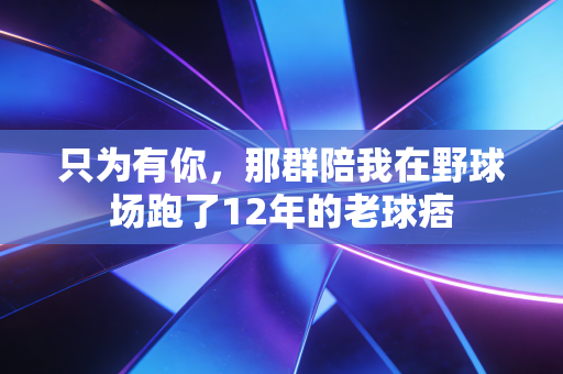 只为有你,那群陪我在野球场跑了12年的老球痞 只为有你,那群陪我在野球场跑了12年的老球痞