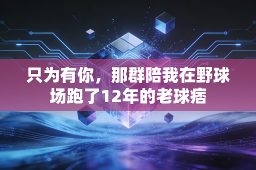 只为有你,那群陪我在野球场跑了12年的老球痞 只为有你,那群陪我在野球场跑了12年的老球痞